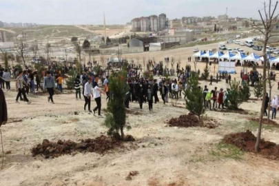 Şahinbey’deki boş arazi ormana dönüşüyor