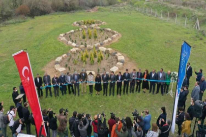 Barışın sembolü ‘Üçüncü Bahçe’ eseri Karkamış’ta görücüye çıktı