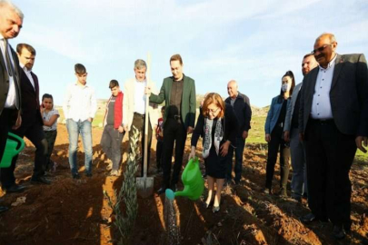 Gaziantep’te 75 bin zeytin fidanının dağıtımına başlandı