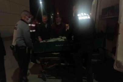 Yeğenini silahla vurarak öldürdü