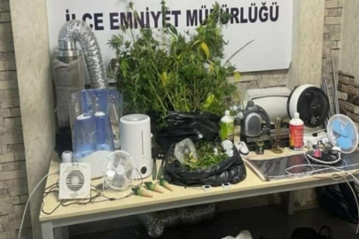 Evi uyuşturucu tarlasına dönüştürdüler