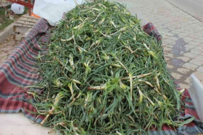 "Yemlik" pazardaki yerini aldı