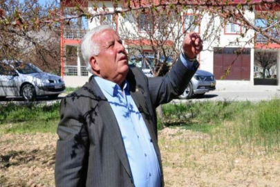 Elbistan’da kayısıyı zirai don vurdu