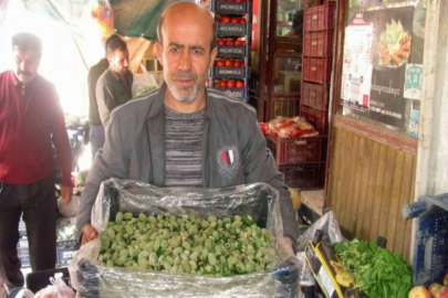 Yılın ilk yerli badem çağlası 25 liradan satışa sunuldu