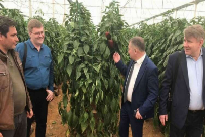 Rusya, Türkiye’den ithal edilen 5 ürünün kısıtlamalarını kaldırdı