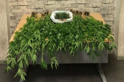 Motosikletçi kaskında gizlenen uyuşturucu polise takıldı