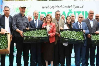 Gaziantep’te tarımsal üretime 2 milyon fide desteği