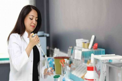 Zeytin çekirdeğinin mucizesi
