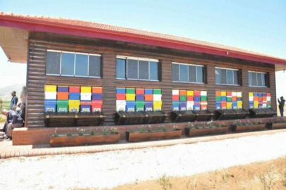 Türkiye’nin ilk arı evi Kahramanmaraş’ta açıldı