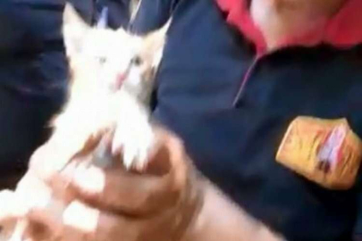 Kilis’te su kuyusuna düşen kedi kurtarıldı