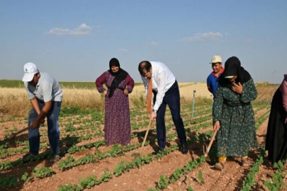 Vali Ayhan, tarım işçisi gibi çalıştı