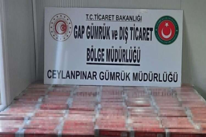 Gümrük kapılarında kaçakçılığa geçit yok