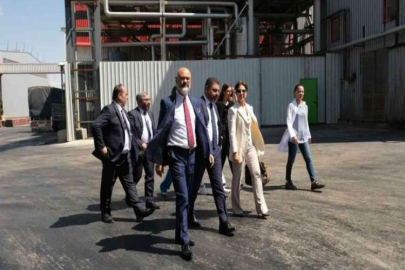 Kadooğlu Yağ dünya markası olma yolunda