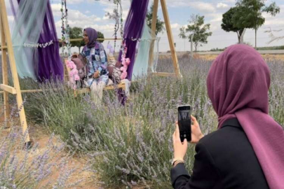 Suriye sınırında "Lavanta Tarla’’ günleri