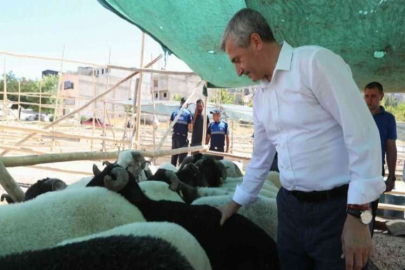 Şahinbey’de kurban satış ve kesim yerleri belirlendi