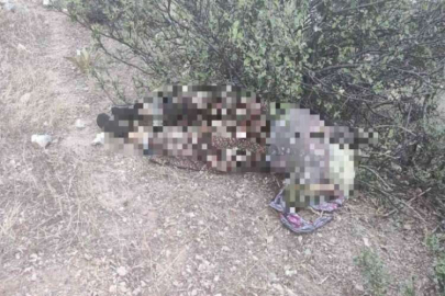 Kayıp olarak aranıyordu acı haber geldi