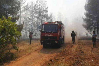 Gaziantep’teki orman yangını 1 saatte kontrol altına alındı