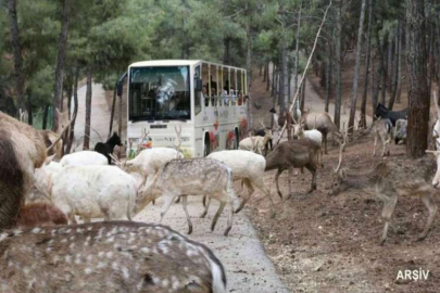 Gaziantep Doğal yaşam Parkı 9 günde 225 bin ziyaretçiyi ağırladı