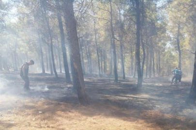 Burç ormanlarında çıkan yangın söndürüldü