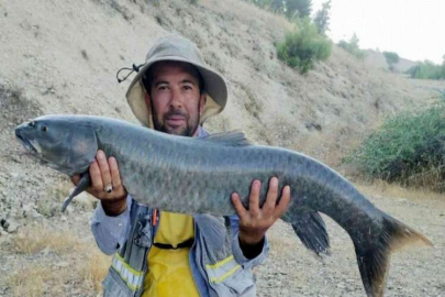 Araban’da oltalar Fırat’la buluştu