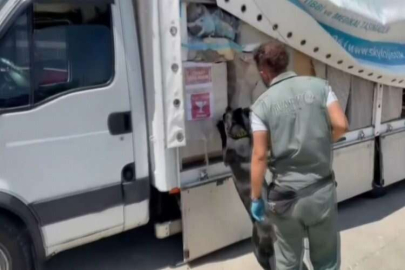 Kahramanmaraş’ta 117 kilo esrar ele geçirildi