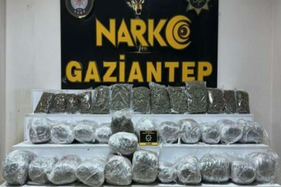 Gaziantep’te 28 kilo 400 gram skunk ele geçirildi