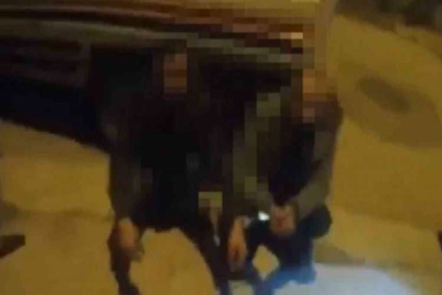 Kablo hırsızları mahalle bekçilerine yakalandı