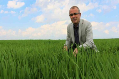 Diyarbakır’da çiftçinin yüzü son yağışlarla güldü