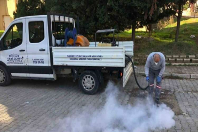 Gaziantep’te haşere ile mücadele