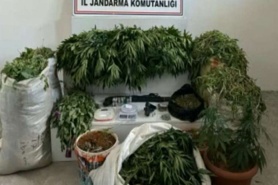 Jandarmadan dev uyuşturucu operasyonu