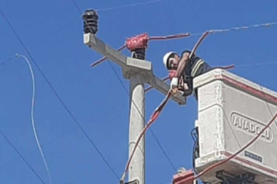 Toroslar EDAŞ hatlarını yalıttı, kuşlar kanatlarını hayata çırptı