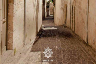Anteplice Şirin Hanekler kitabı okuyucularla buluştu