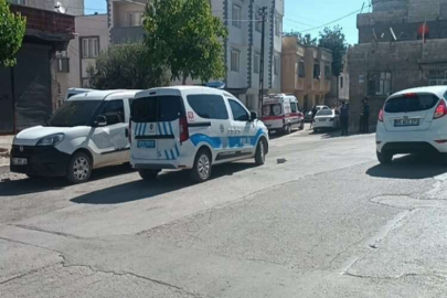 Katliam gibi kavga: 3 ölü, 2 yaralı