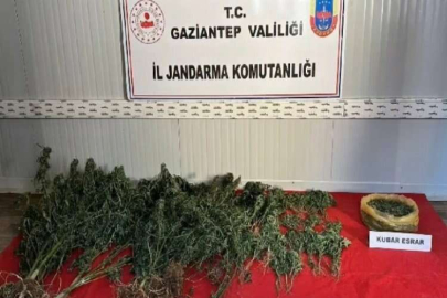Jandarmadan uyuşturucu ve kaçakçılık operasyonu: 1 şahıs tutuklandı