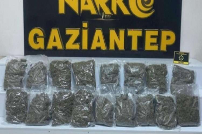 Gaziantep’te 8 kilo 550 gram skunk ele geçirildi: 2 gözaltı