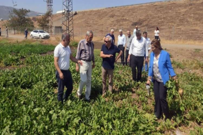 Şekerpancarı üreticileri dertli