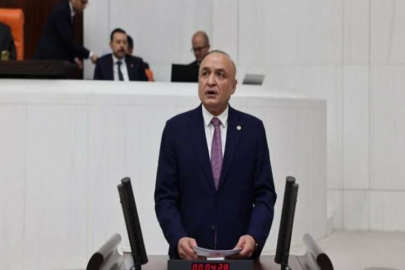 Meriç, sağlıkta yaşanan sorunları meclise taşıdı