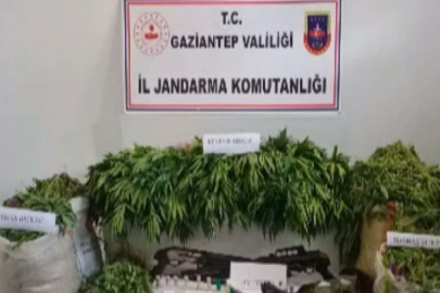 Gaziantep’te uyuşturucu operasyonlarında 2 bin 682 şüpheli yakalandı
