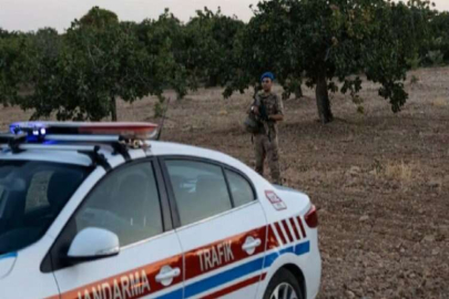 Gaziantep’te “yeşil altın” denetimlerinde 108 tutuklama