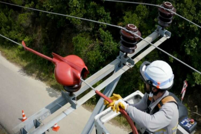 Toroslar EDAŞ göçmen kuşları yalıtımlı hatlarında ağırladı
