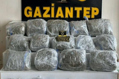 Gaziantep’te 78 kilogram skunk ele geçirildi: 1 şahıs tutuklandı