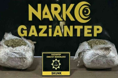 Gaziantep’te 1.5 kilogram skunk ele geçirildi