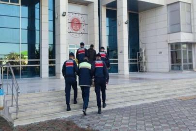 Zeytin hırsızları Jandarma dedektiflerinin ağında yakalandı