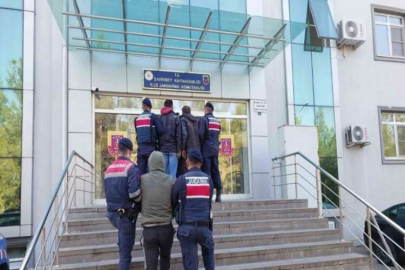 Jandarma 120 kilo zeytin çalan 3 şüpheliyi yakaladı