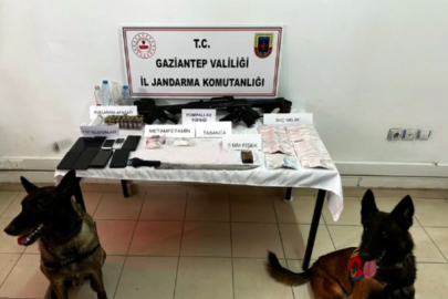 Jandarmadan Çobanlar Çetesi'ne operasyon