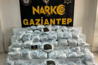 Gaziantep’te uyuşturucu operasyonu: 194 tutuklama