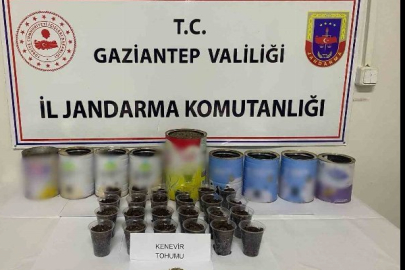 Jandarmadan uyuşturucu operasyonu