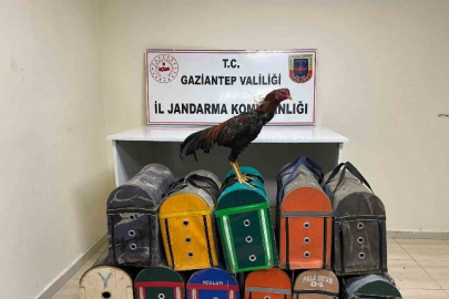 Gaziantep’te horoz dövüştüren 26 şahıs suçüstü yakalandı