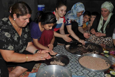 Gaziantep’te yuvalama zamanı