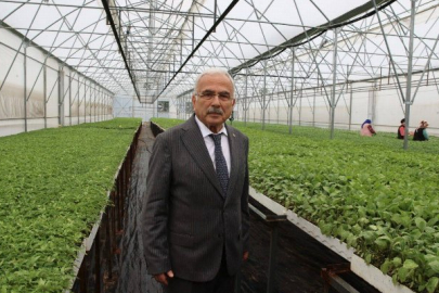 Üreticilere 4 milyon liralık fide